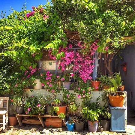Parmis Çeşme